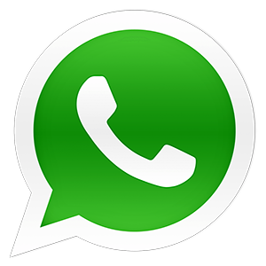WhatsApp to Synergy